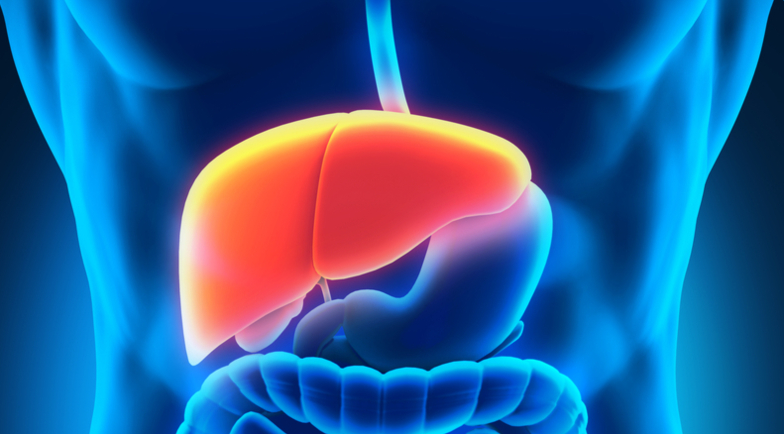 Essential oils that your liver will love!