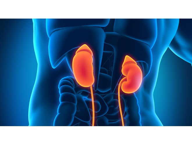 Aromatherapy essential oils for the kidneys