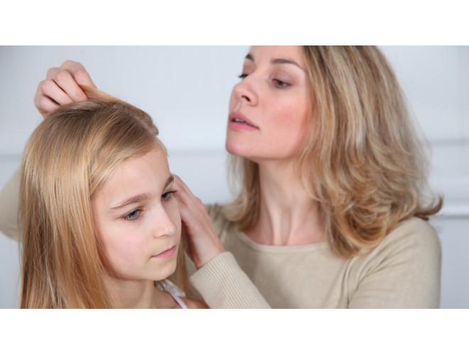 Aromatherapy essential oils for nits (head lice)