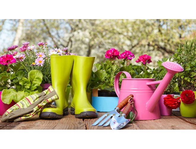 Essential oils for gardens AND gardeners! Essential oils for gardens AND gardeners!
