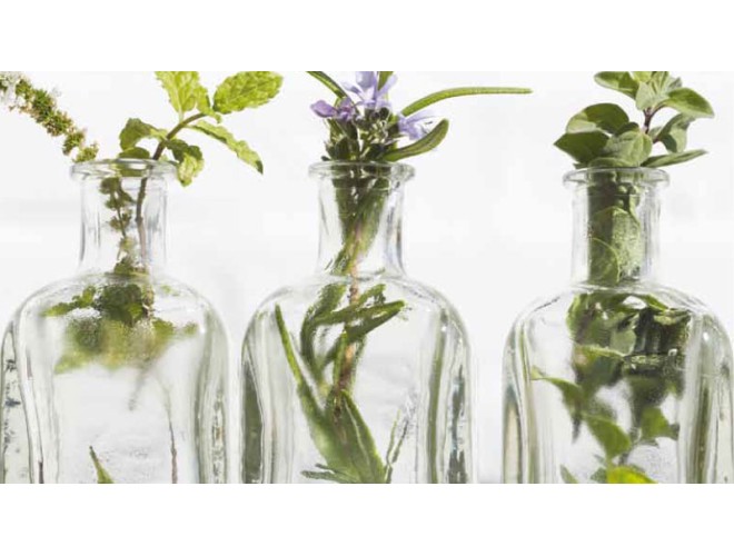True Health - Essential Oils - Aug/Sept 2017 True Health - Essential Oils - Aug/Sept 2017
