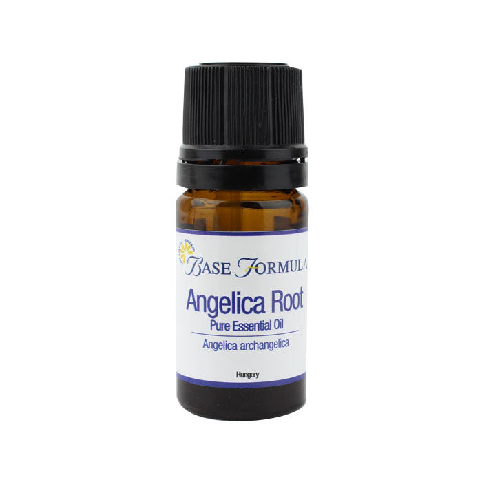 Angelica Root Essential Oil