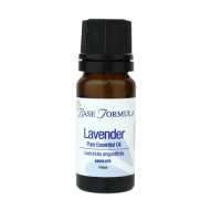 Lavender Absolute