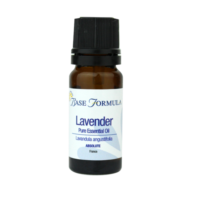 Lavender Absolute