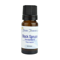 Black Spruce Essential Oil