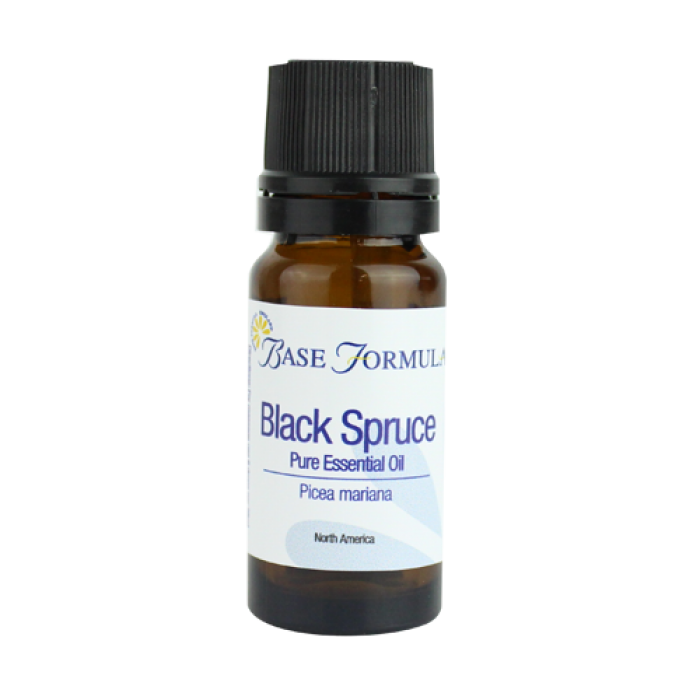 Black Spruce Essential Oil