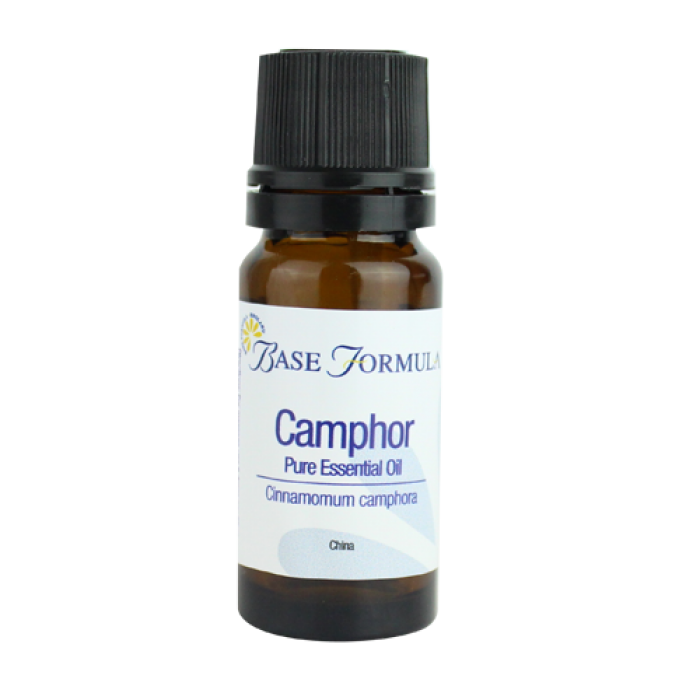 Camphor White Essential Oil