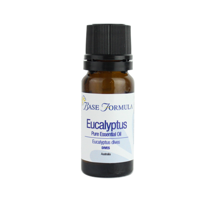 Eucalyptus (Dives) essential oil