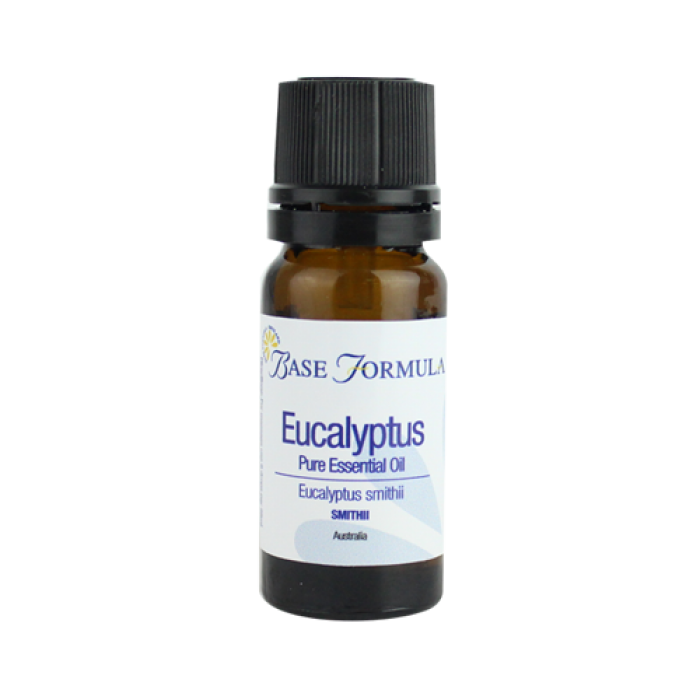 Eucalyptus (Smithii) Essential Oil