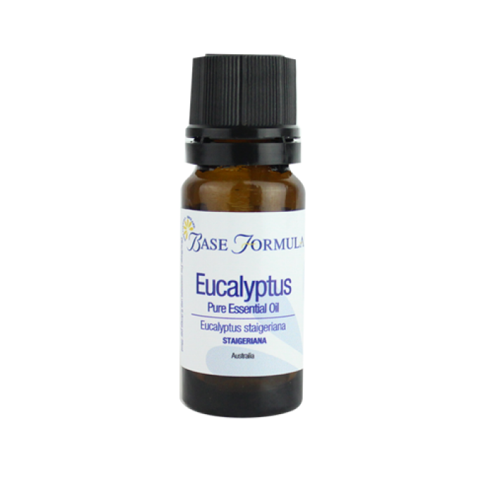 Eucalyptus (Staigeriana) Essential Oil