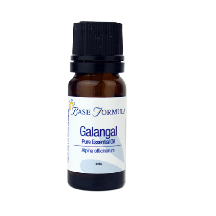 Galangal Essential Oil