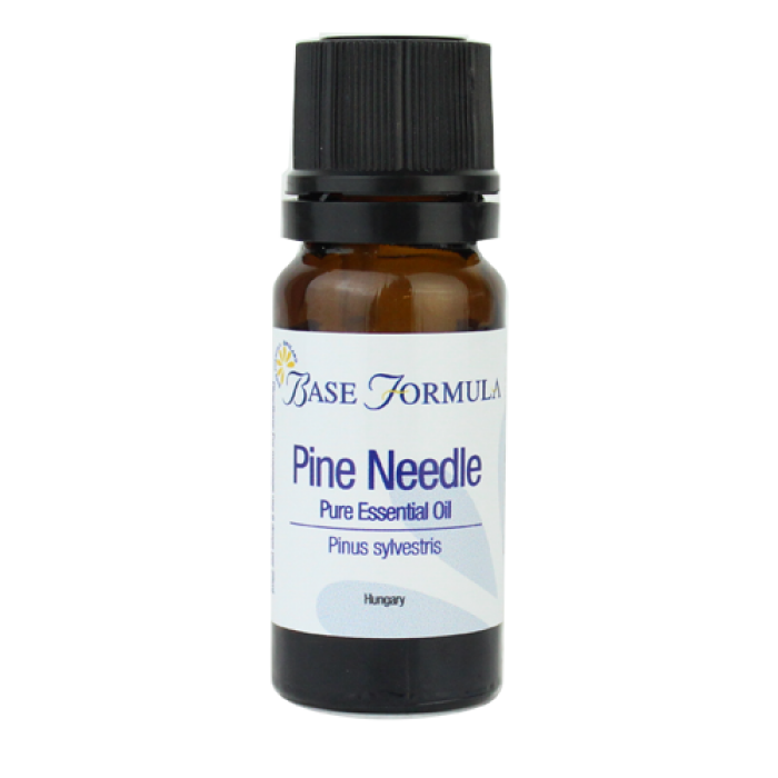 Pine Needle Essential Oil