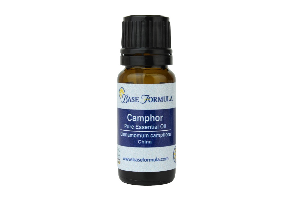 Camphor White Essential Oil Camphor White Essential Oil