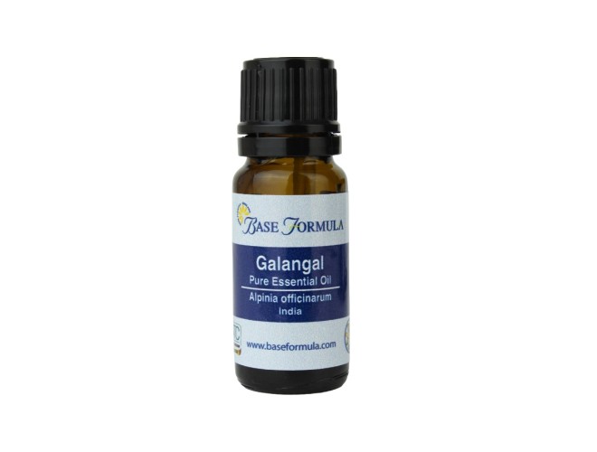 Galangal Essential Oil Galangal Essential Oil