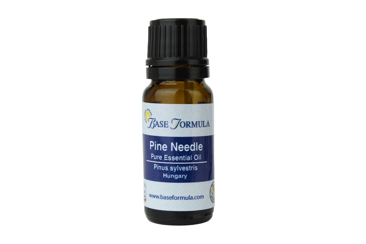 Pine Needle Essential Oil Pine Needle Essential Oil