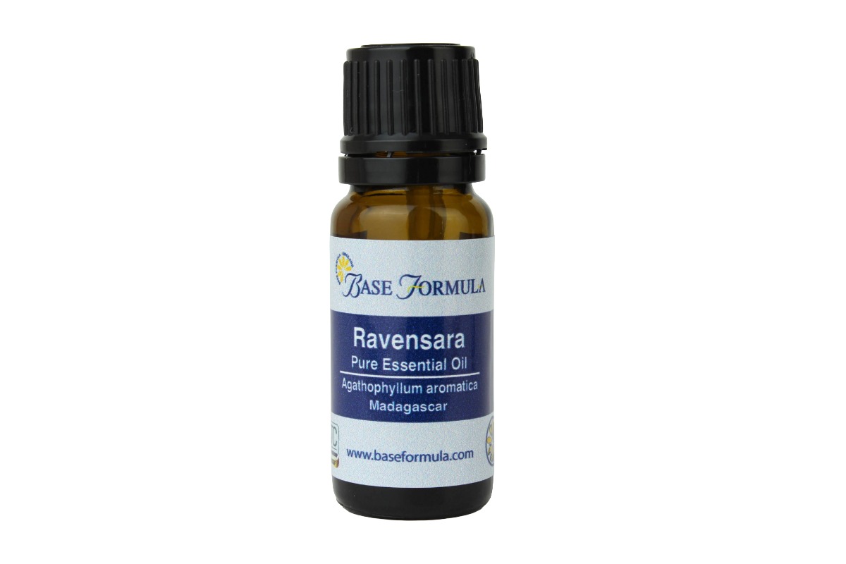 Ravensara Essential Oil Ravensara Essential Oil