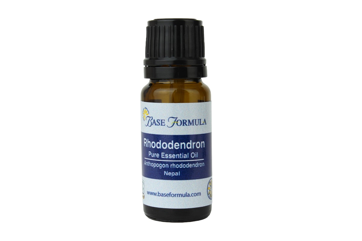 Rhododendron Essential Oil Rhododendron Essential Oil