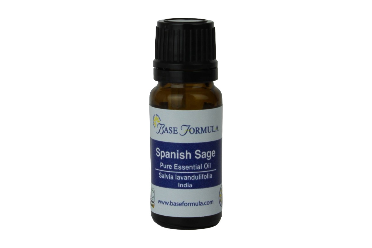 Spanish Lavender Sage Essential Oil Spanish Lavender Sage Essential Oil