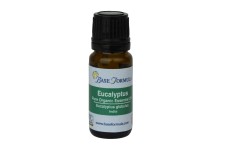 Eucalyptus (Globulus) ORGANIC Essential Oil Eucalyptus (Globulus) ORGANIC Essential Oil