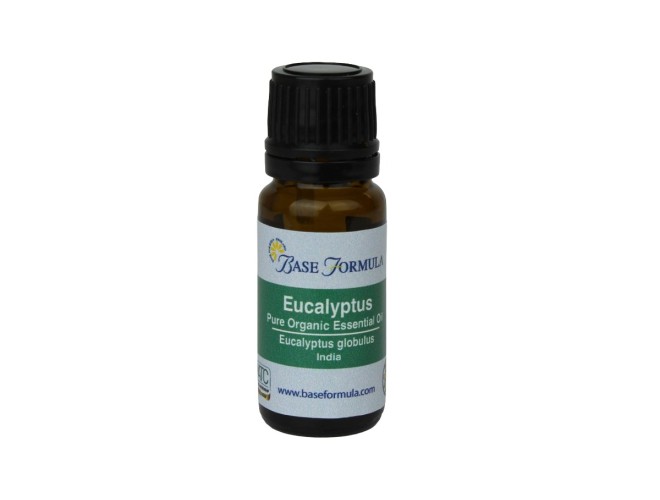Eucalyptus (Globulus) ORGANIC Essential Oil Eucalyptus (Globulus) ORGANIC Essential Oil