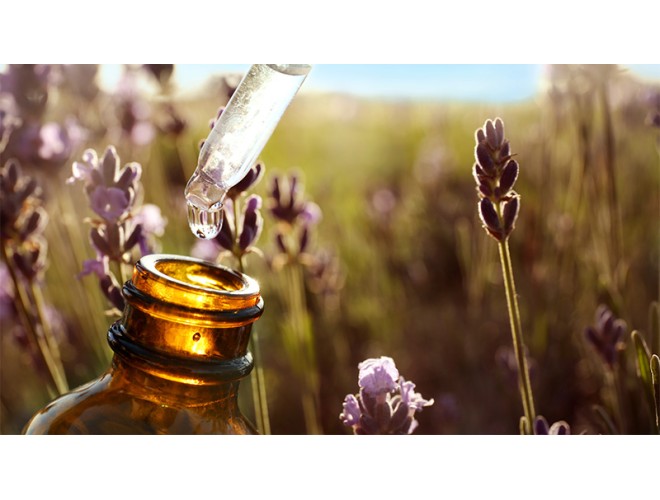 How essential oils are extracted from plants How essential oils are extracted from plants