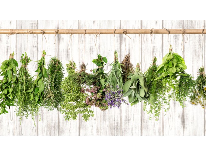 Plant families & knowing your essential oils
