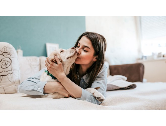 Q&A: Diffusing essential oils around dogs Q&A: Diffusing essential oils around dogs
