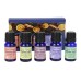 Christmas Essential Oil Set Christmas Essential Oil Set